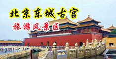 使劲操邻居丰满美妞逼短视频中国北京-东城古宫旅游风景区