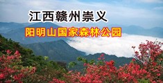 肏b网